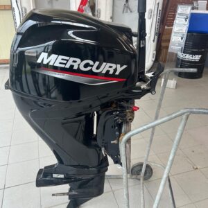 Moteur Mercury Occasion 40CV