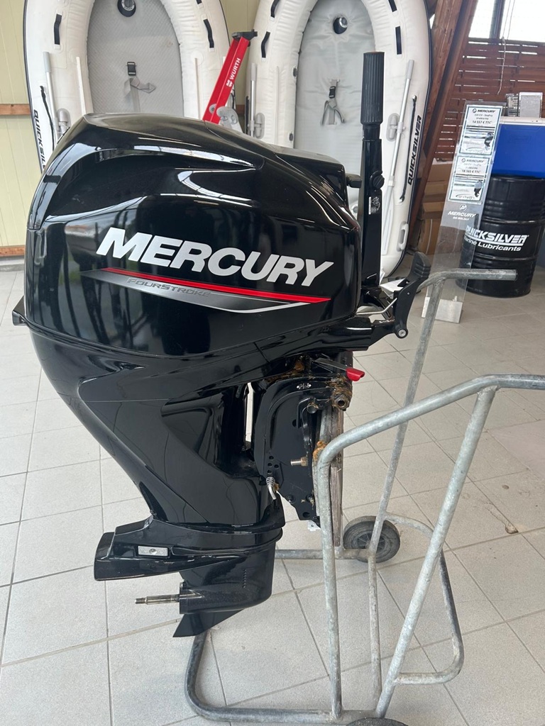 Moteur Mercury Occasion 40CV