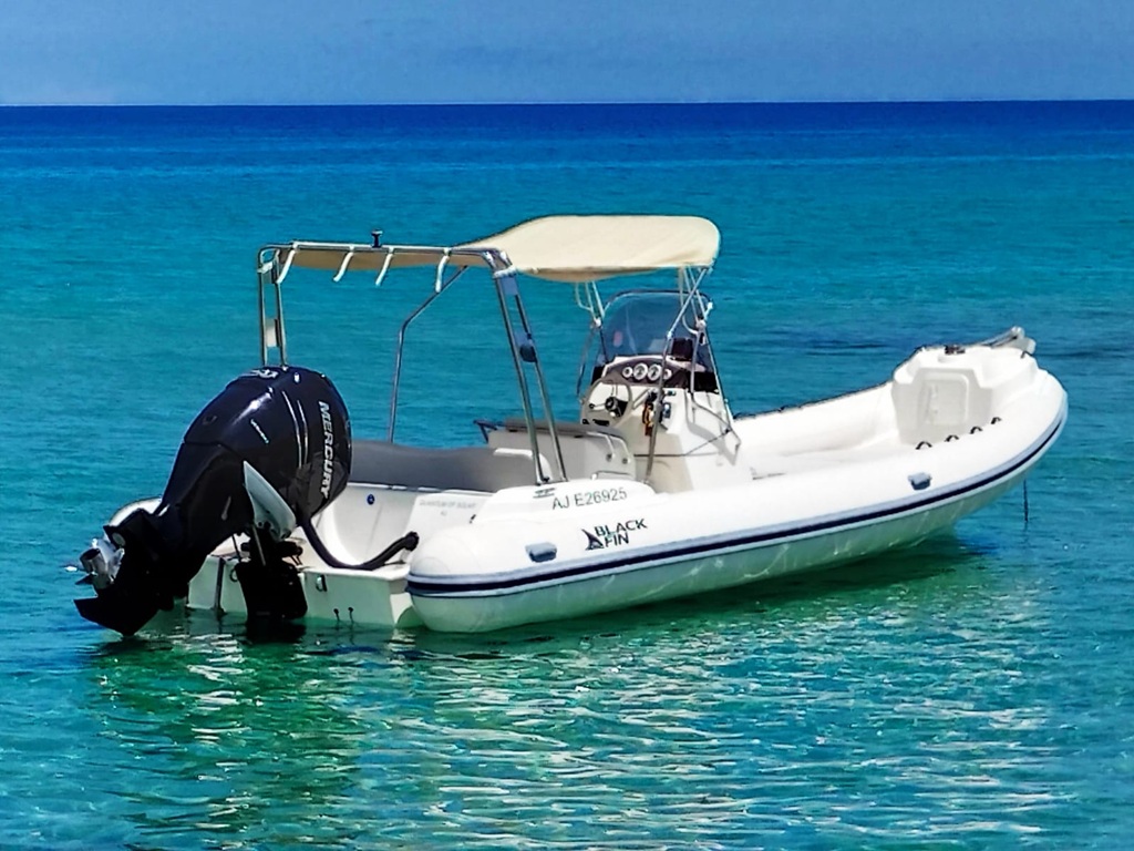 Black Fin Elégance 25