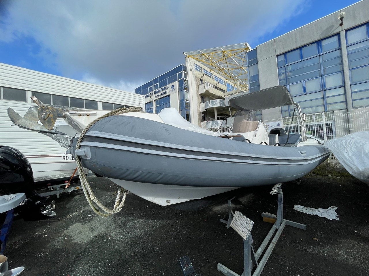Black Fin Elegance 7