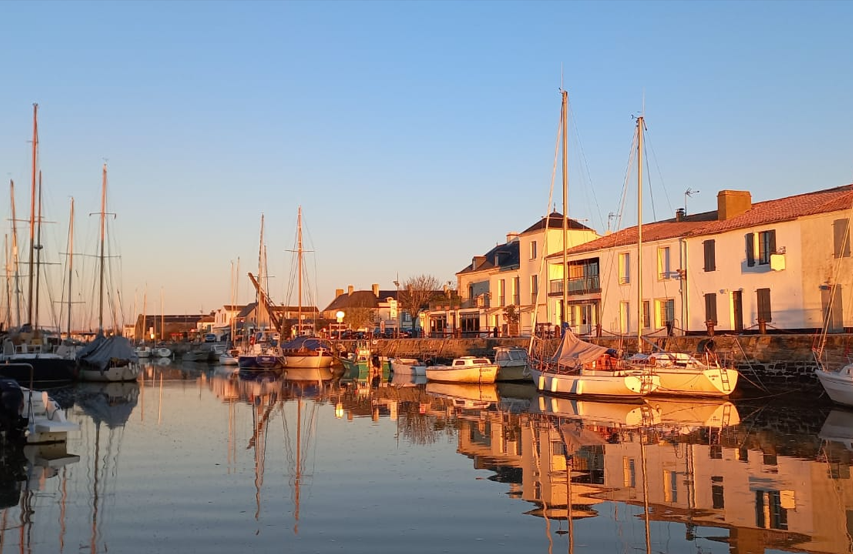 Capture d’écran 2026-02-12